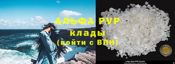 индика Верхний Тагил