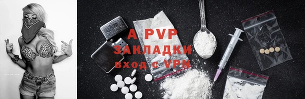 индика Верхний Тагил
