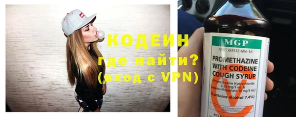 индика Верхний Тагил