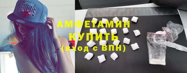 индика Верхний Тагил