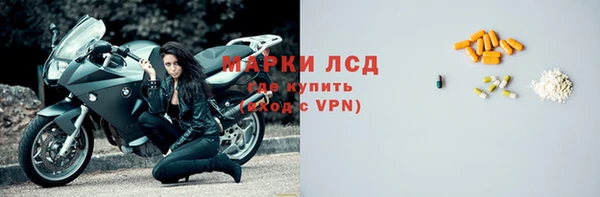 индика Верхний Тагил