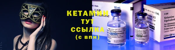 индика Верхний Тагил