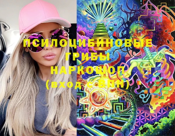 винт Верея
