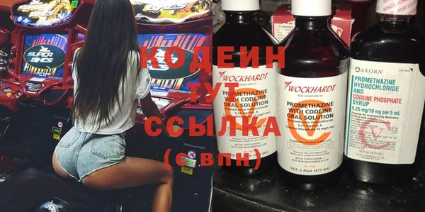 индика Верхний Тагил
