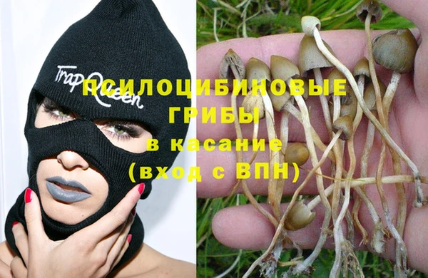 индика Верхний Тагил