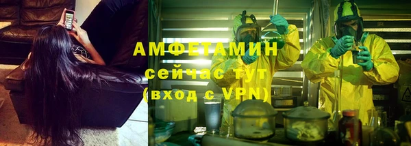 винт Верея